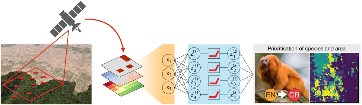 antonelli_lab's tweet photo. Integrating machine learning, remote sensing and citizen science to create an early warning system for biodiversity. Open Access at https://t.co/XqDjoox4NF @Kiran_DA @KewScience @Naturvetenskap @GGBC_GU #COP15 #biodiversity #conservation #MachineLearning https://t.co/2cpP17zODR