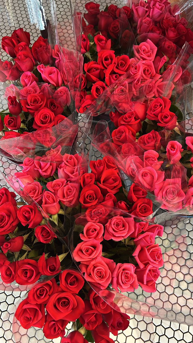 thecassidyrae's tweet photo. Fresh cut roses are always romantic 🌹🥰🙌🏻 https://t.co/QhpITbv3m2