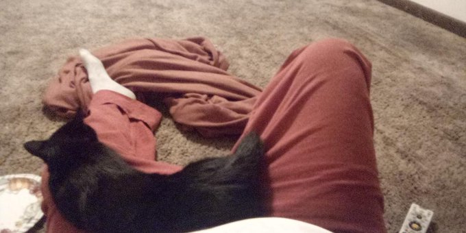 This is what happens when you make a black cat like you https://t.co/mB3pTNsPwK<a href="/tag/finallybeyoselves"class="tags"><span>#finallybeyoselves</span></a>