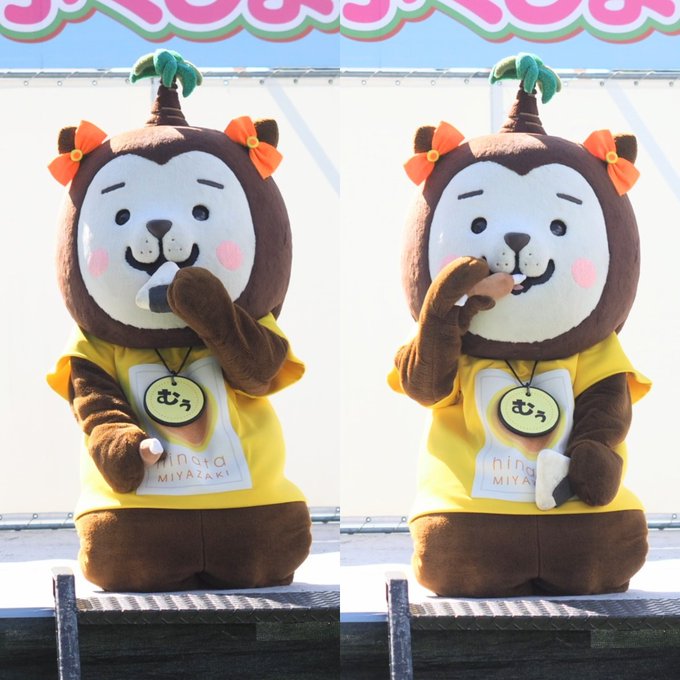 みやざき犬 の評価や評判 感想など みんなの反応を1週間ごとにまとめて紹介 ついラン