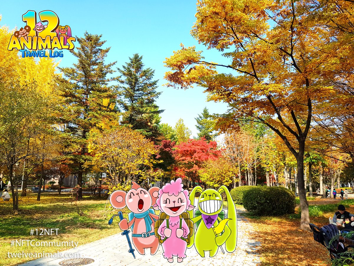 12 Animals Travel Log tweet media