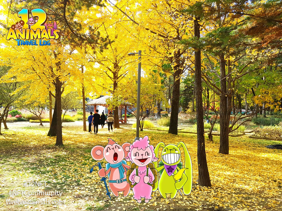 12 Animals Travel Log tweet media