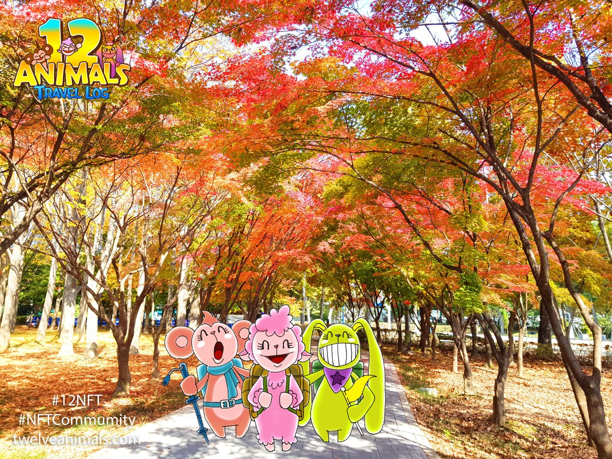 12 Animals Travel Log tweet media