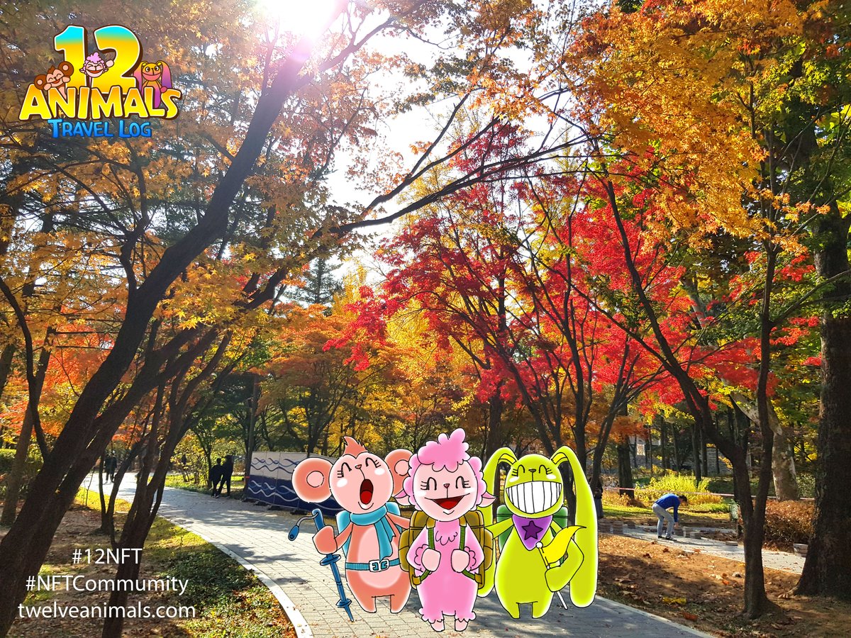 12 Animals Travel Log tweet media