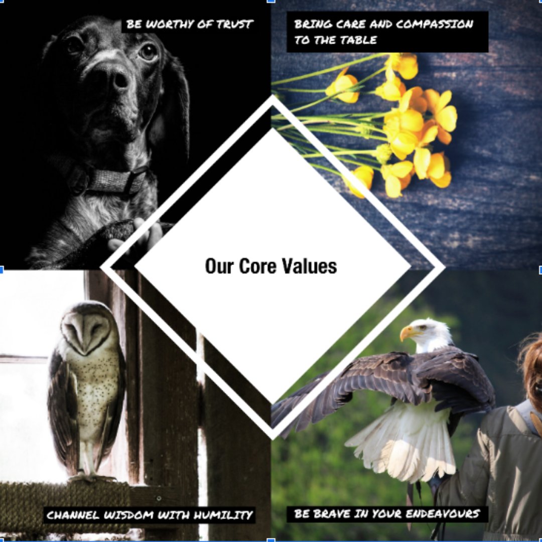 UnearthTech's tweet photo. We exist to create a safer world, it is our North Star.  
We share our values with potential clients because it represents how we engage with them. 

Our values are not words on a page, it's how we live &amp; operate as people/team. 

#valuesdriven #purposeled  #riskmanagement https://t.co/AvlDHKC2rd