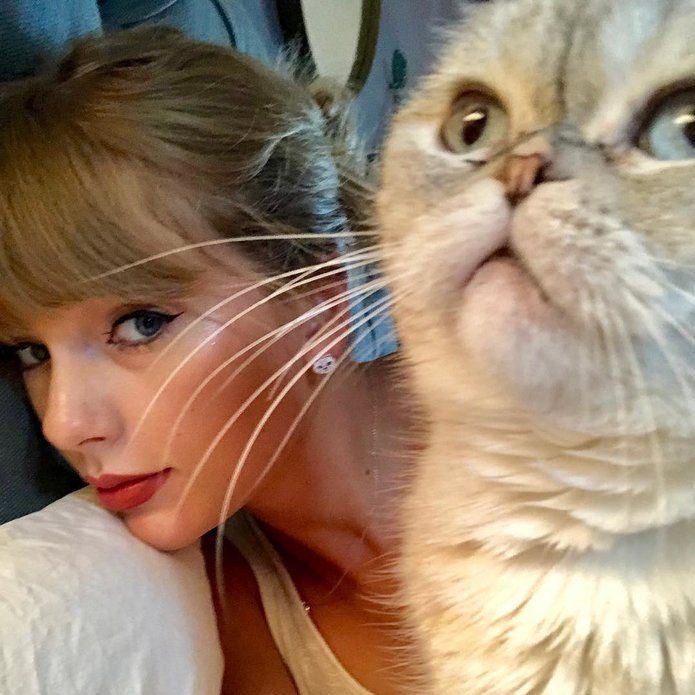 The Eras Tour tweet media