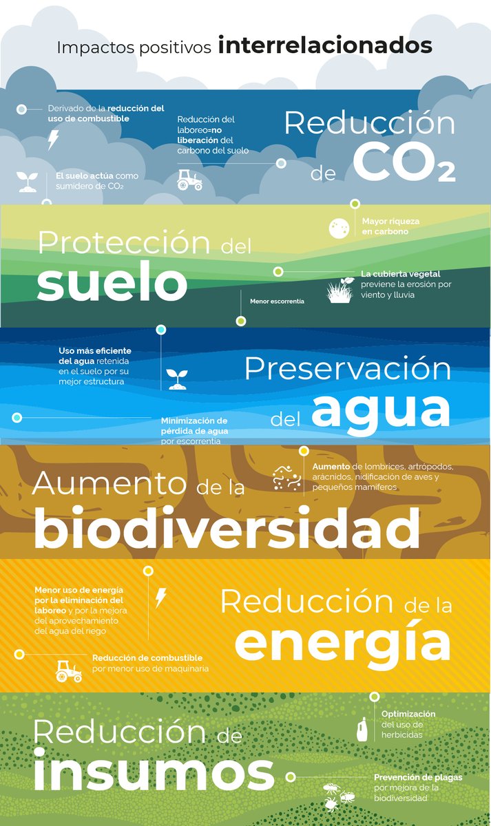AEACSV's tweet photo. ¿Qué impactos positivos y que están interrelacionados genera la #AgriculturadeConservación?
⬇️Reducción del CO2
➡️Preservación del Agua
⬆️Aumento de la biodiversidad
⬇️Reducción de la energía
#Sostenibilidad #CambioClimático #Agricultura https://t.co/JXmqLZs0JE