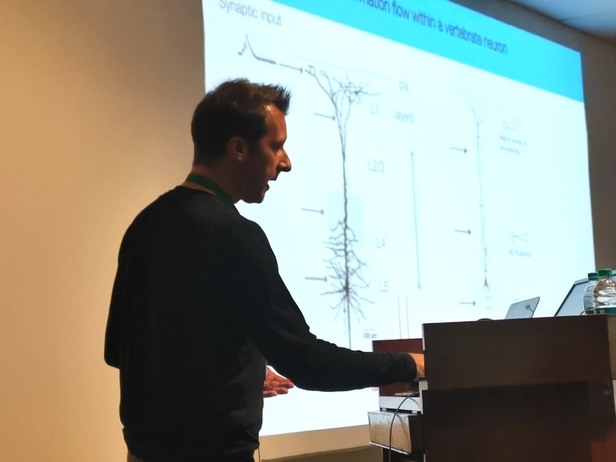 jamesclementjnc's tweet photo. How sensosry informations disrupted in autism? Andreas Frick explains the mechanisms underlies it #EMBONeurodev @EMBOevents @EMBO @EMBOPress @TedAbelneuro @UIowaNeuro @DBT_NBRC @jncasr https://t.co/yjnGFIEg8U
