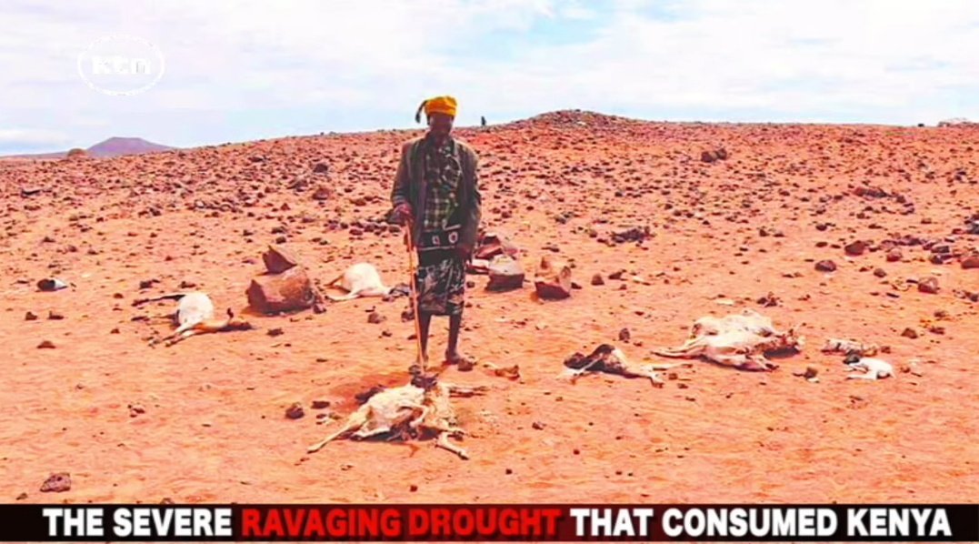 fear_wisdom's tweet image. #EndofDrought-The Historic drought &amp;amp; famine has come to an end but still to come again in the coming years in the near future. it will not be just rains but Destructive floods will be much evident #Floods God Judgements over the Nations of the World. #PROPHECYWATCH