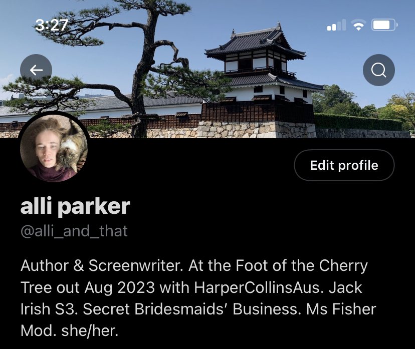 alli parker tweet media