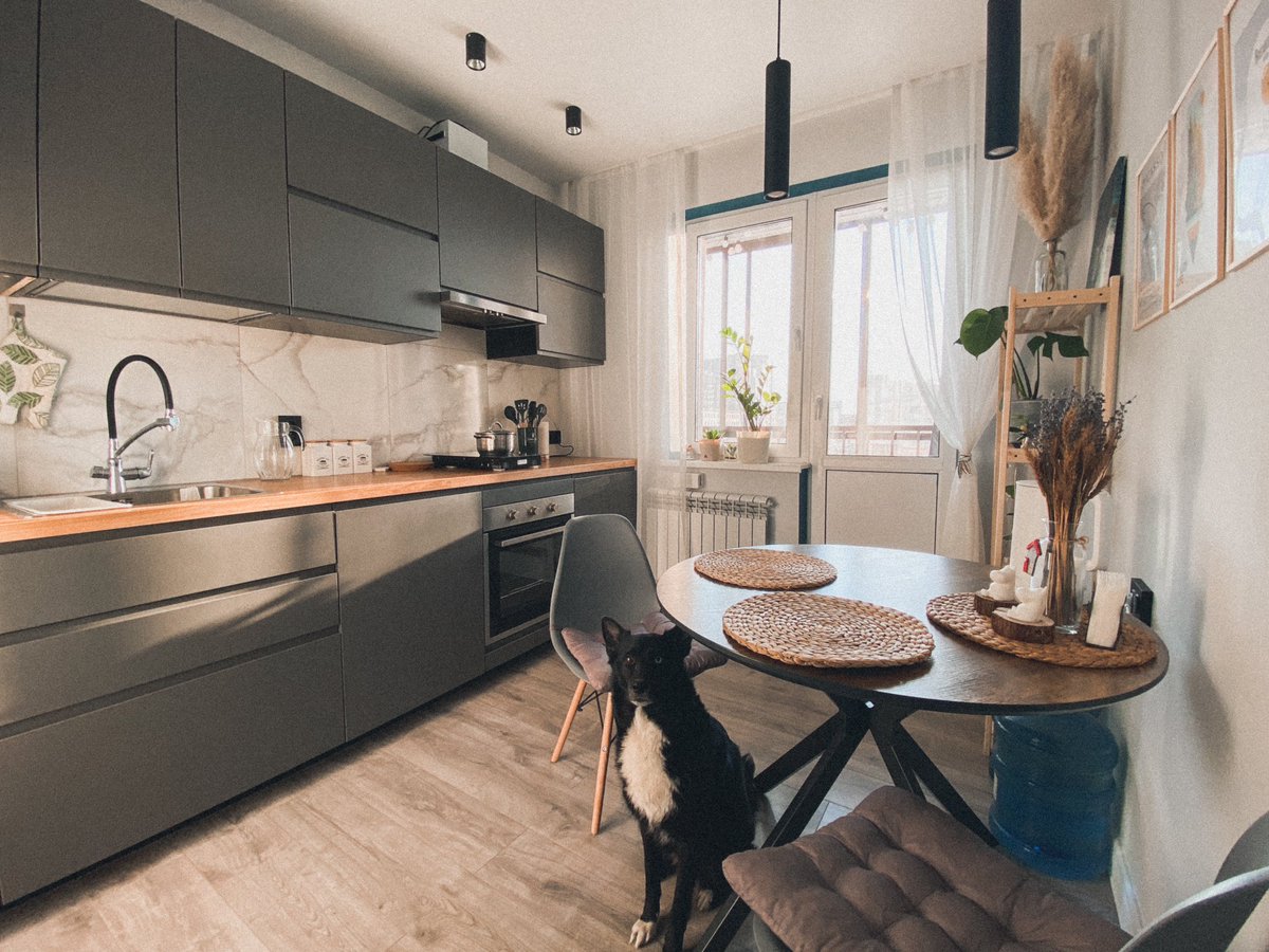 makekochaves's tweet image. 