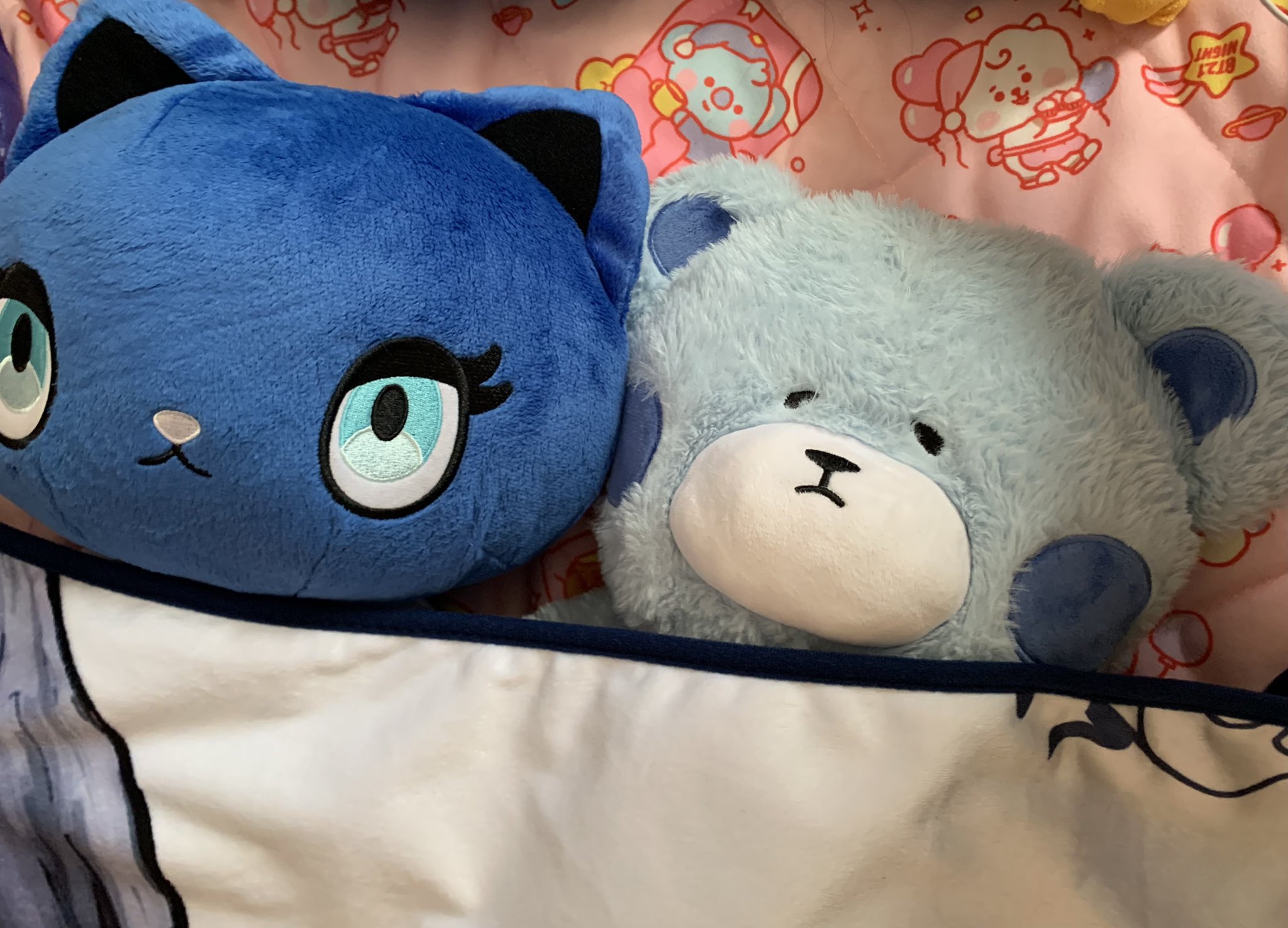 くまʕ◜㉨◝ʔฅちゃんさま専用 不可解くまちゃんフォト - Cerca / X