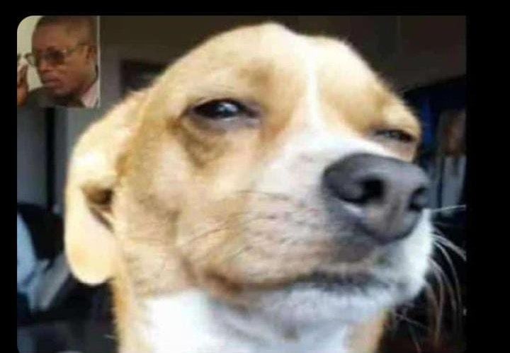 Lebsta10's tweet photo. @GrayyLuna @MichaelBucwa Bathe single ladies thread 
Not pornstars 
Ngapha augezi zona https://t.co/AQfz0VceY0