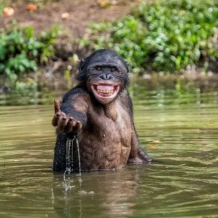 Lebsta10's tweet photo. @Zarmaniey @thatojamea @MichaelBucwa I knew it 
Lo ufuna unyongo uyanya 
Woza la bbes https://t.co/LIJ6zmk0tr