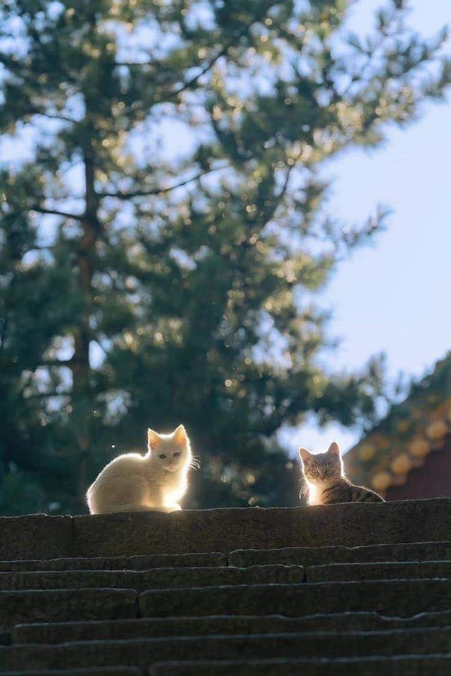 Günaydın güneşli güzel günler