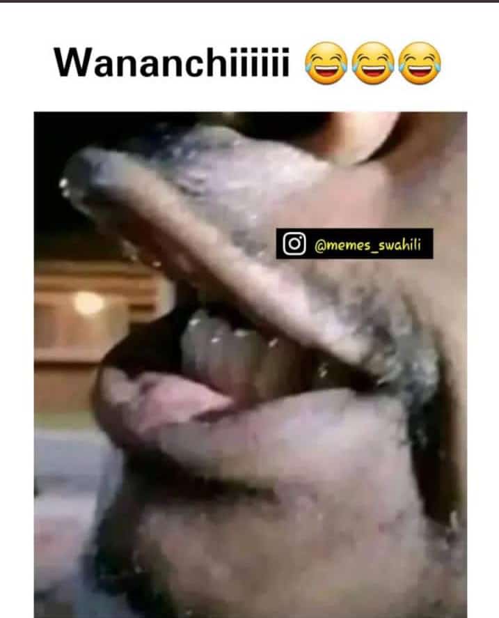 kunta_tz's tweet photo. @yangasc1935 wanakwenda kua mfano bora kabisa wa maneno ya wahenga'

"Usitukane wakunga na uzazi ungalipo"

Ndoa Tunisiaaaaaa. https://t.co/G0QNrvoz2V