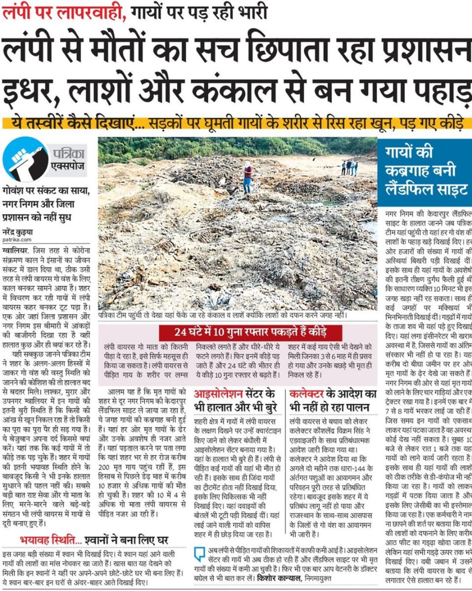 || MP Yuva Shakti || tweet media