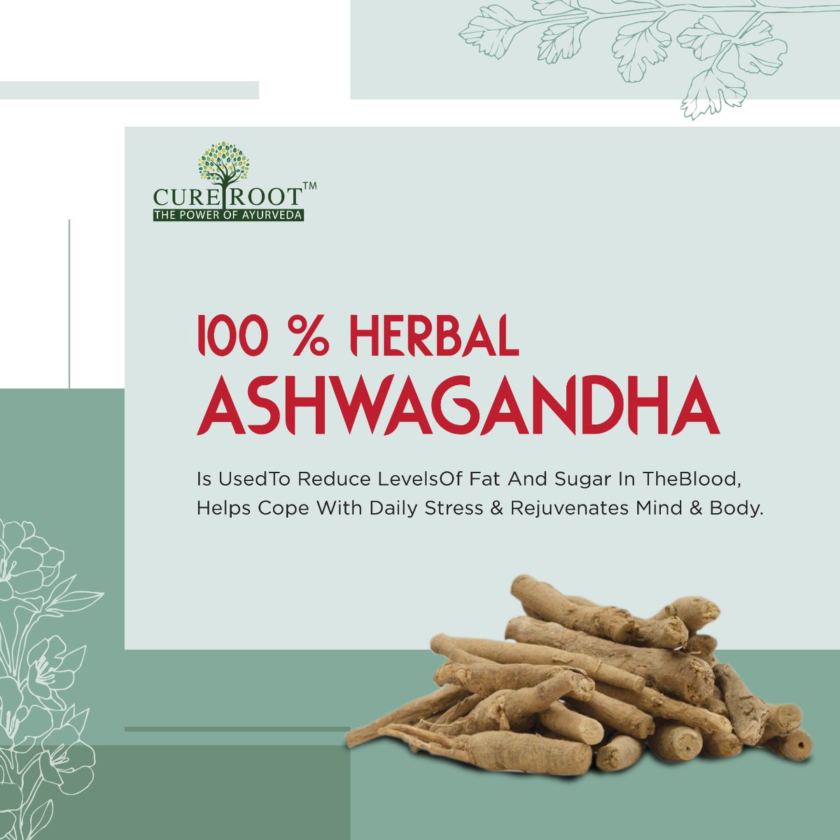 Being a powerful adaptogen, it enhances the body's resilience to stress. Ashwagandha improves the body's defense against disease by improving the cell-mediated immunity.

#Ashwagandha #AshwagandhaBenefits #Herbs #Ayurveda #StressRelief #ThePowerOfTheAyurveda #CureRoot