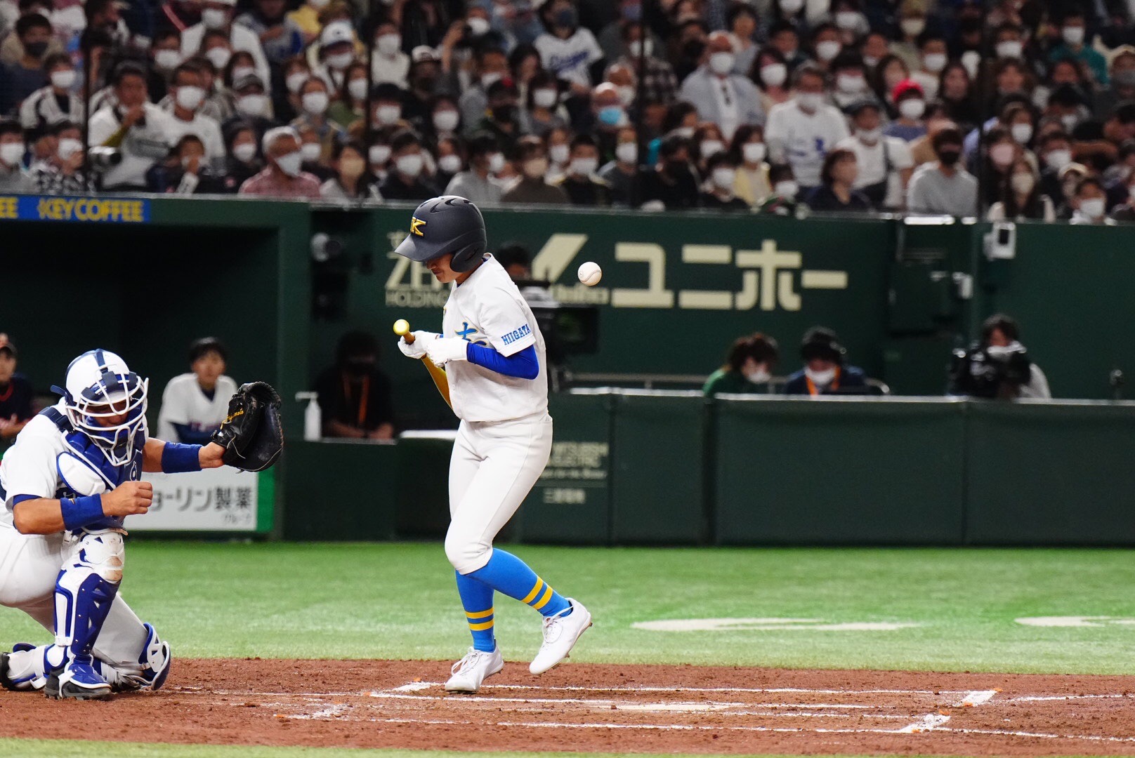 KOBE CHIBEN オーセンティックキャップ（超超希少KOBE CHIBEN