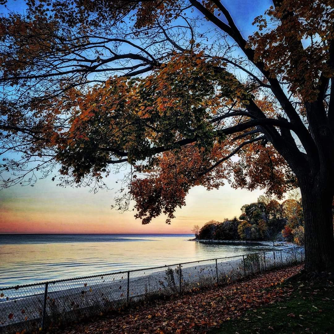 smartchoicepl's tweet photo. #Fall2022 #SunsetLover #ouroshawa https://t.co/T91ylu4cqq