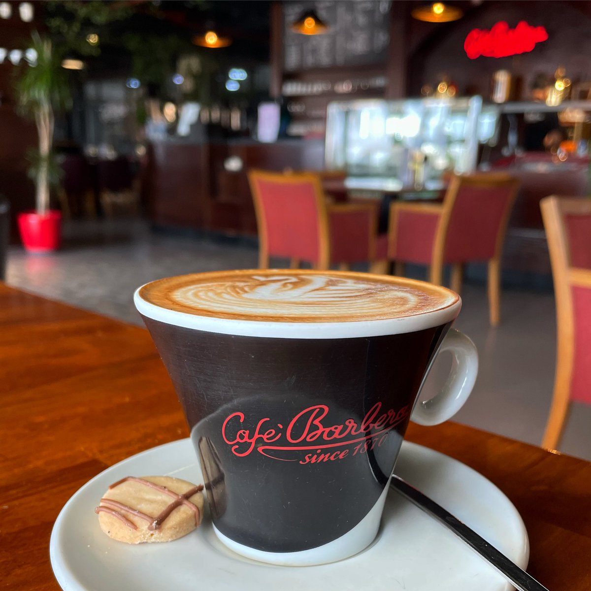 CafeBarberaEbl's tweet photo. Today is good day, you deserve quality coffees ☕️ @CafeBarberaEbl 

#cafebarberaerbi #erbil #goodday #staypositive #coffee #italianfood #italiancoffee #cafebarbera #TwitterKurds https://t.co/uc2yzQBvL0