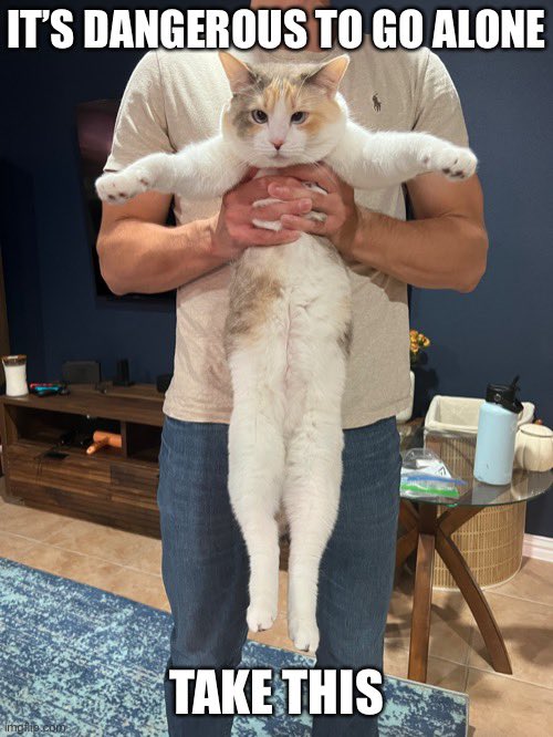 Panko A. Cat’s Mom tweet media