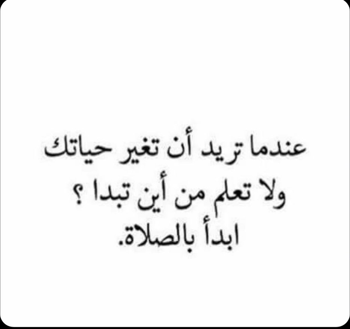 بدرية المسعد tweet media