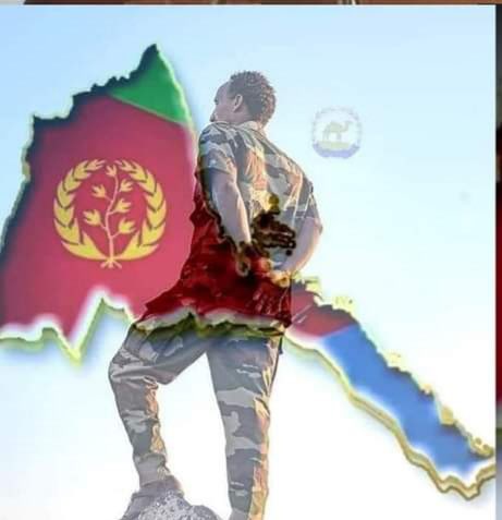 Filmona Teklay tweet media