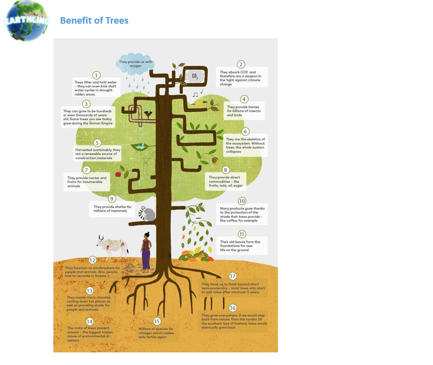 Trees have a lot of impact to our ecosystem. Here are some benefits of trees for our lives. Join us to protect our trees! 🌳

$ETLG #Crypto #ClimateCrisis #cryptocurrencies