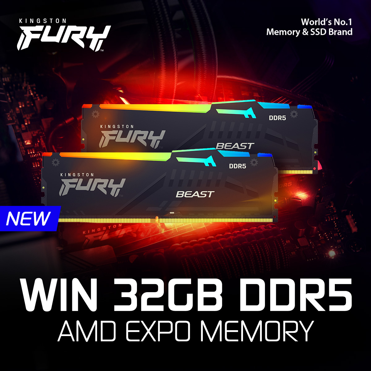 PLEComputers's tweet photo. 🚨 WIN 32GB DDR5 MEMORY 🚨
Thanks to Kingston Australia, we are giving you the chance to win a kit of 32GB DDR5 Fury Beast RGB AMD EXPO 6000MHz memory!

Enter via the link below:
👉 https://t.co/Pt6YHGMXCV https://t.co/pOENaDlJku