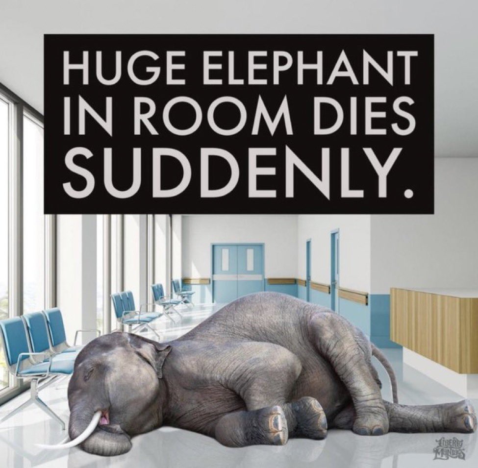 Dr Aseem Malhotra on Twitter: "How long can the elephant in the room be ignored by the mainstream media in the U.K. ?! Not for much longer…" / Twitter