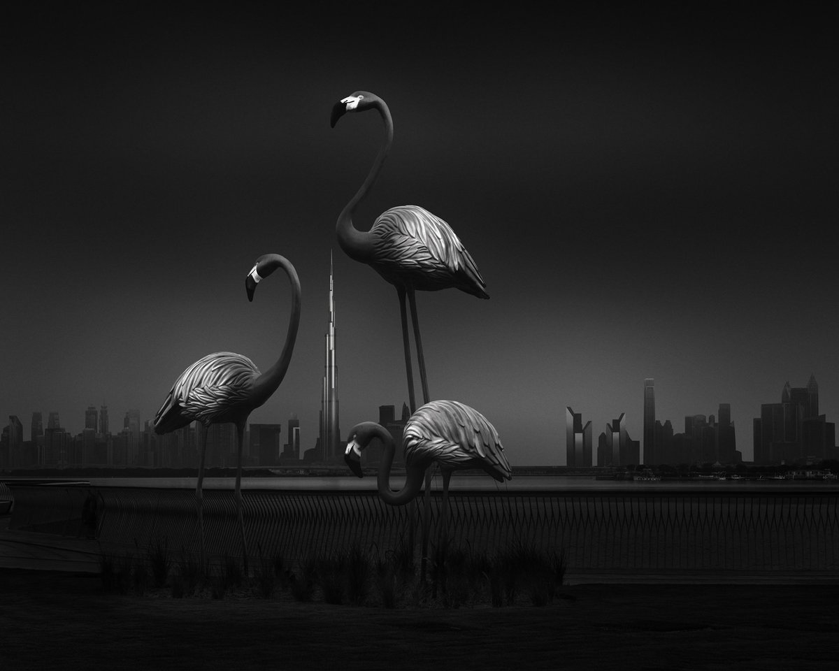Gm fam ! 

Featuring “Urbanature”

Owned by the great <a href="/cmbarce1/">cmbarce.eth</a> 🖤