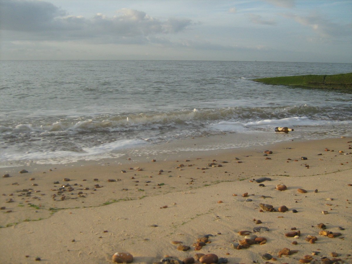 jonnyald's tweet photo. down at Felixstowe beach #seametal #aircraftalloy #onthetideline #driftwood #artprojects #etsyshop #lifesgreat #suffolk #coast https://t.co/0UyIoyb5gV