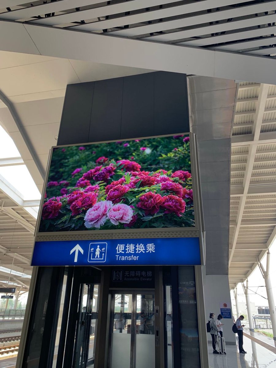 This is our new factory and located in Mudan District, Heze City. 🤩 🤩 It is worth mentioning that this is our third factory~~I worked here for the last few months. 🏃‍♀️ 🏃‍♀️ 🏃‍♀️ I have to say the industrial park is very beautiful and the food is delicious .😋 #qingdaojiuxinzhongli