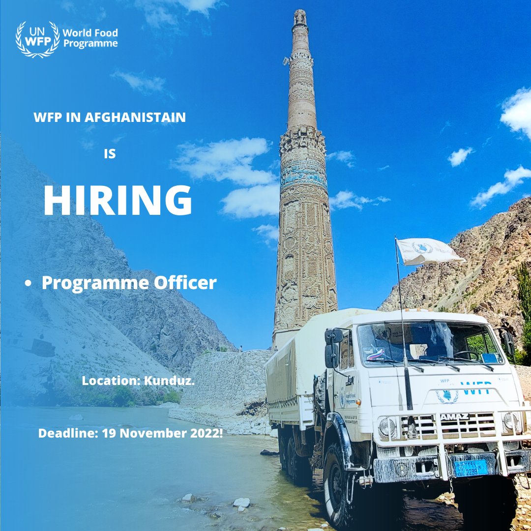 WFP_Afghanistan's tweet photo. 🚨Job Alert🚨

@WFP

in Afghanistan is looking for qualified candidates for the position of
➡️Programme Officer

Location: Kunduz.

Closing date: 19 November 2022

Apply now: https://t.co/P70yIqRJVo https://t.co/a3f2XkXozh