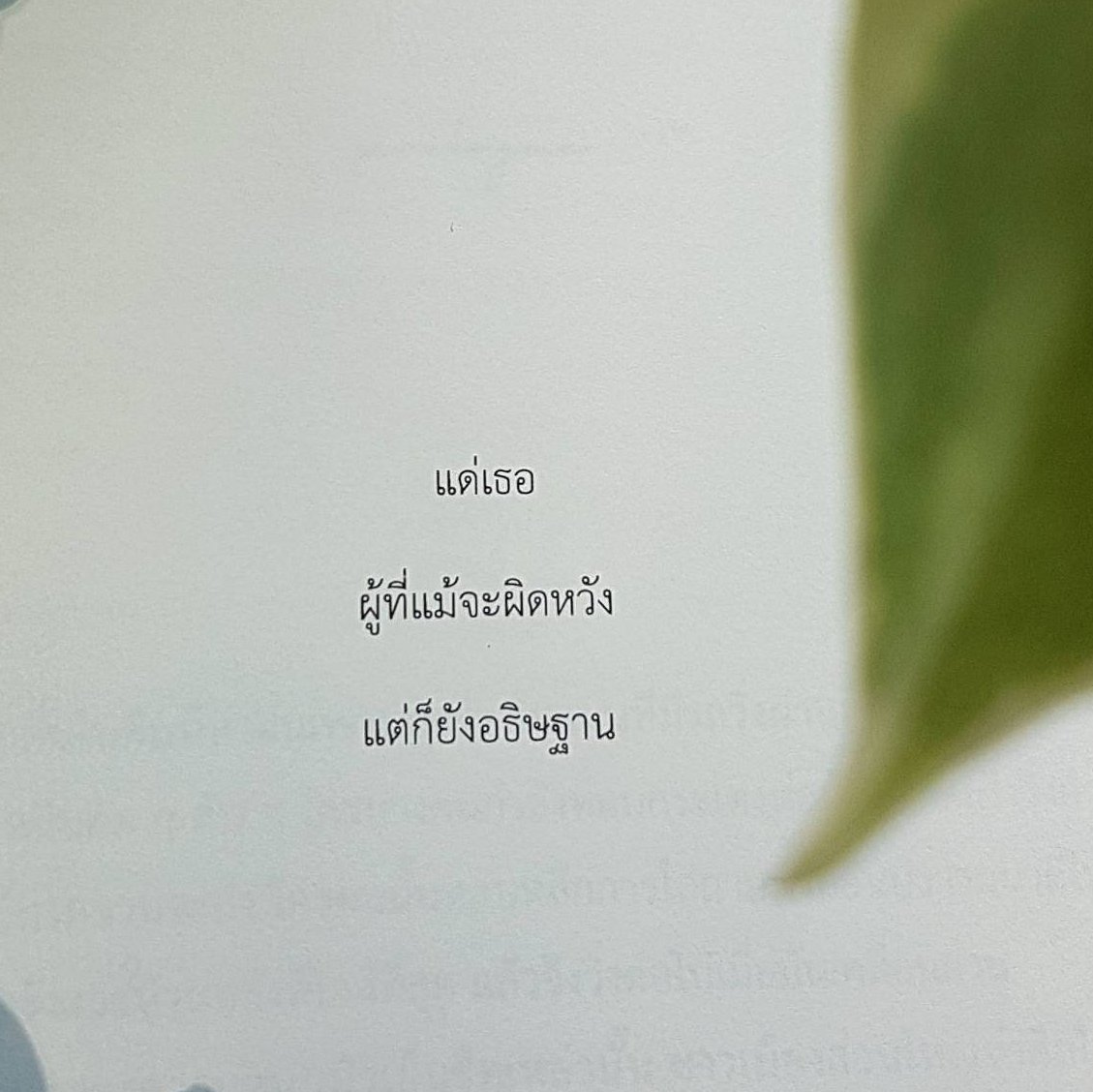 ร้านกลิ่นหนังสือ tweet media