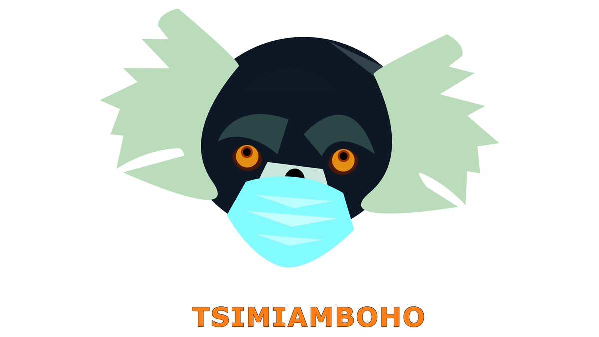 Did you know? Each NFT of our collection bear a unique malagasy name. Malagasy names are well known for being long like Tsimiamboho or Taramasoandro. Since our collection is 100% malagasy we have decided to promote malagasy name !