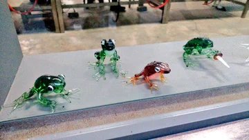画像 / Picture