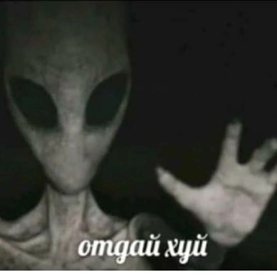 sick__dick's tweet photo. @Daria_Olegovna https://t.co/1F0m9mv77s