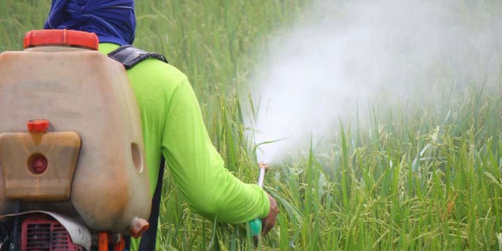 NationAfrica's tweet photo. NGO sues over harmful herbicides used in Kenyan farms
https://t.co/bhjRG6AezE https://t.co/Qj2sE5ScXR