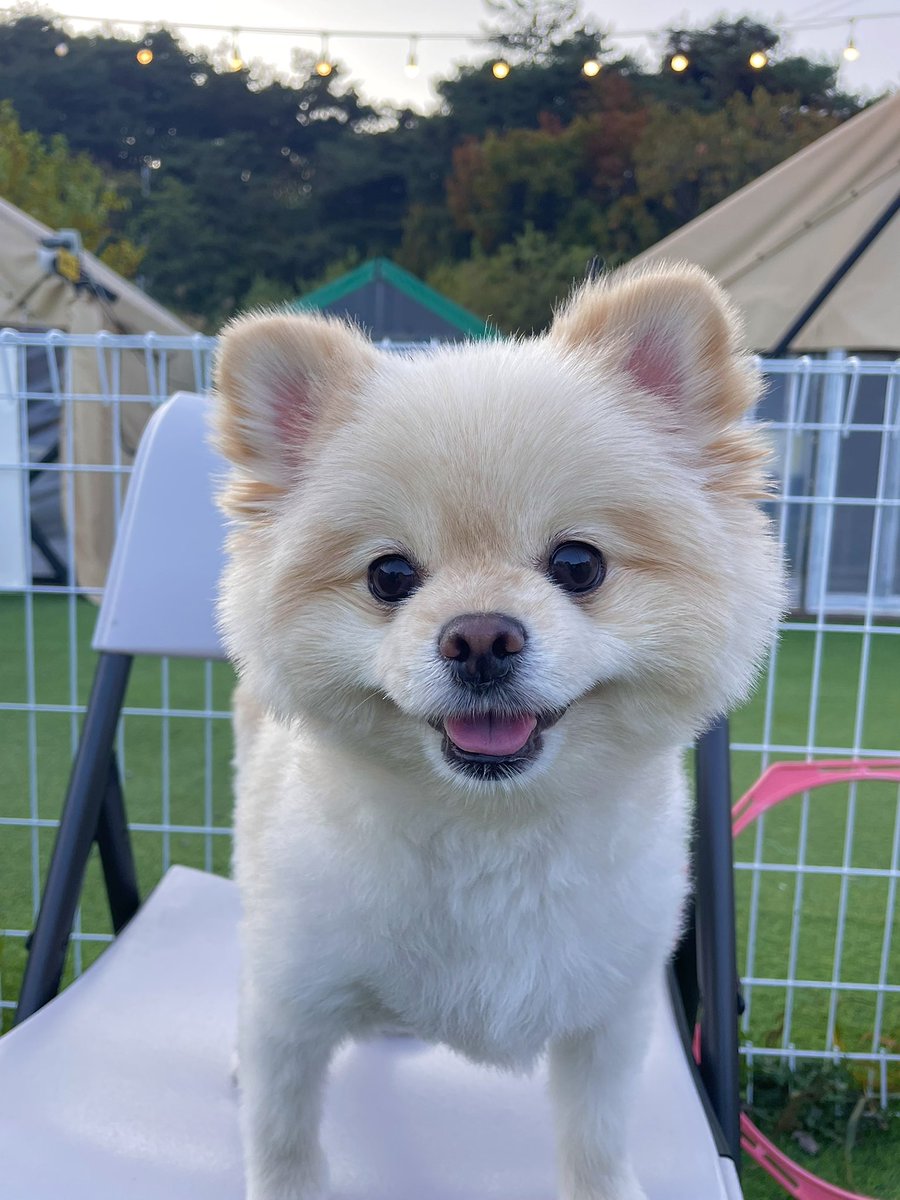 울이집 갱얼쥐 넘 기엽다.