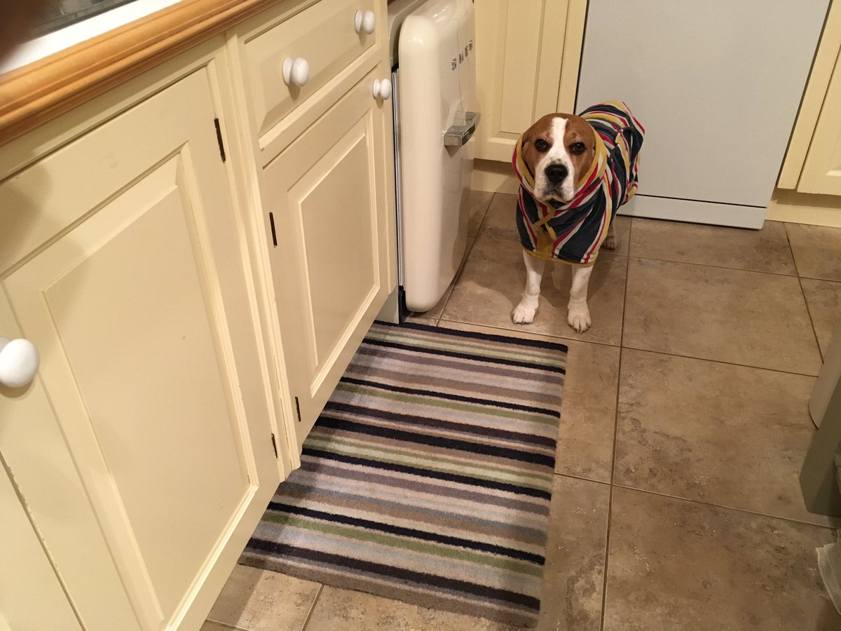 ANGELS RUBY & Mr D! Captain H now in charge! tweet media