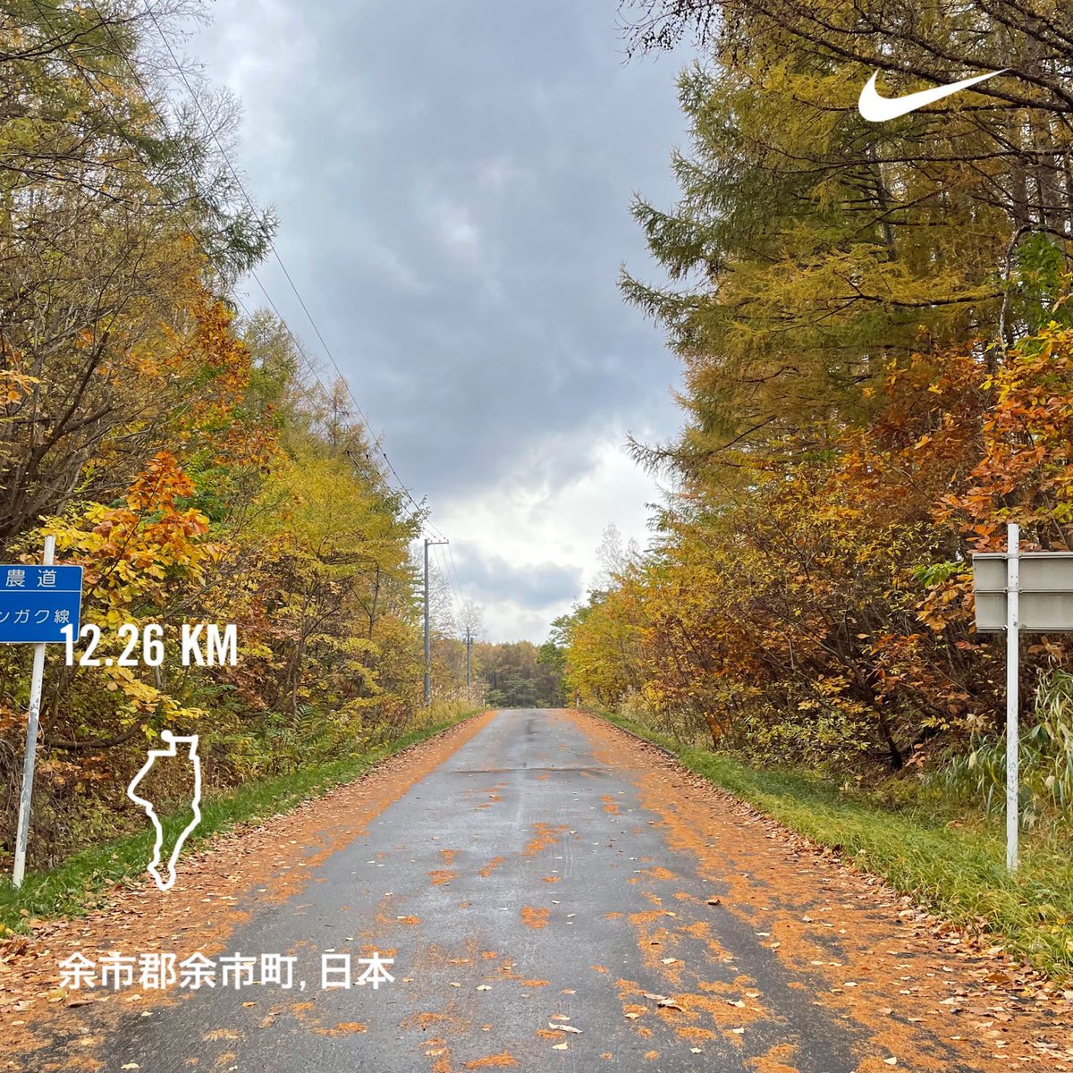 hineyoko's tweet photo. 森のかくれんぼうを探したくなる
#Daytimeruns #running #colorofautumn #Hokkaido #朝ラン #ランニング #余市町 #北海道 #weekdayjoy #afterwork https://t.co/OMzFzwulVU