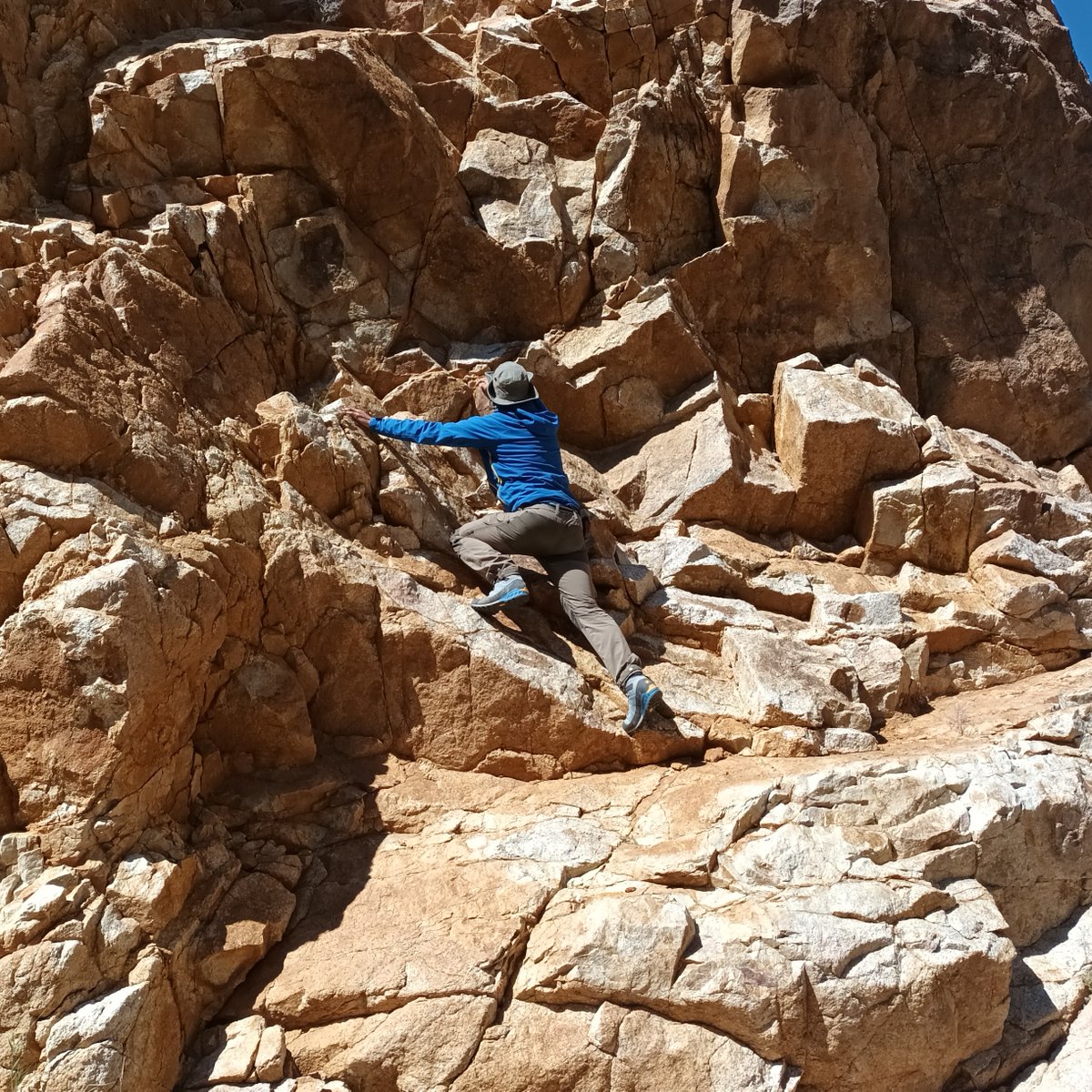 SU sedimentologist and taphonomist, Dr Ryan Tucker, was part of an international team of scientists who discovered multiple fossil assemblages and ash deposits in the Eastern Gobi basin in Mongolia. Read more: bit.ly/3sS0Oe8
