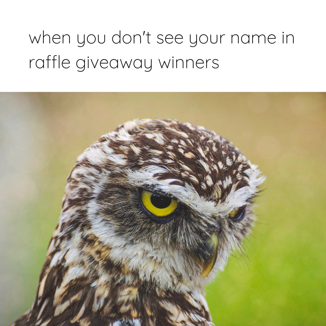 whytewlf's tweet image. WHYYY @metatrees_ekta am I curse? HAHA #MetaMeme #MetaTrees