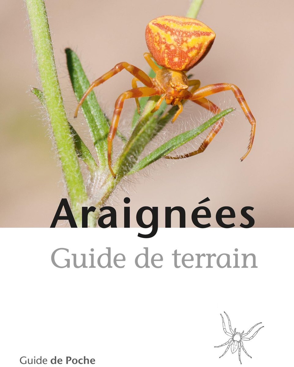 EdRossolis's tweet photo. “Araignées, Guide de terrain” de Gilles Blandenier et Sandro Marcacci est paru.
Ce guide permet d’identifier 67 espèces par des photographies prises sur le terrain, et par des dessins.
#araignée #arachnologie #identification
https://t.co/3dE3JZIb2G https://t.co/SrV6aHgy5r