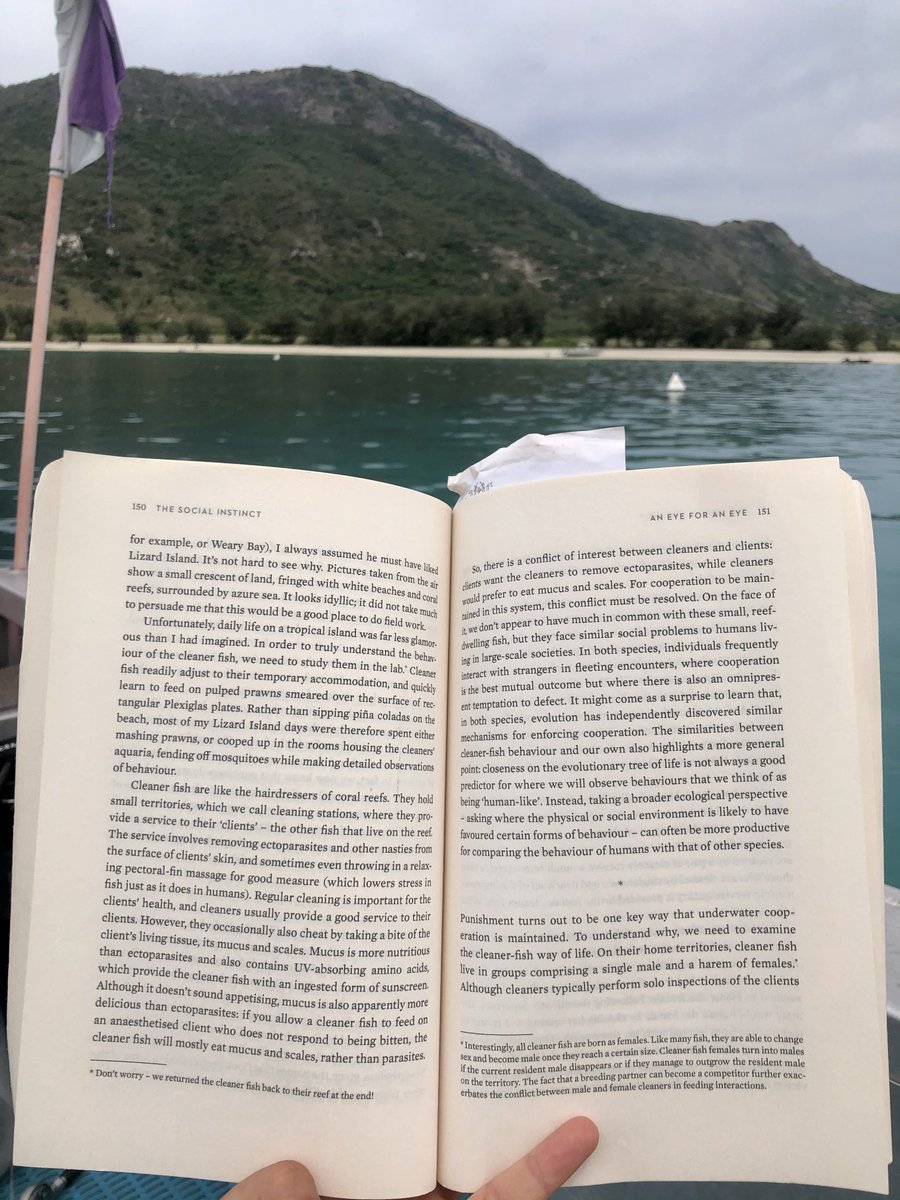 Elle Pattenden (@elpattenden) on Twitter photo some more info on where I am and who I’m chasing around, courtesy of <a href="/nicholaraihani/">Prof Nichola Raihani</a> some more info on where I am and who I’m chasing around, courtesy of <a href="/nicholaraihani/">Prof Nichola Raihani</a>