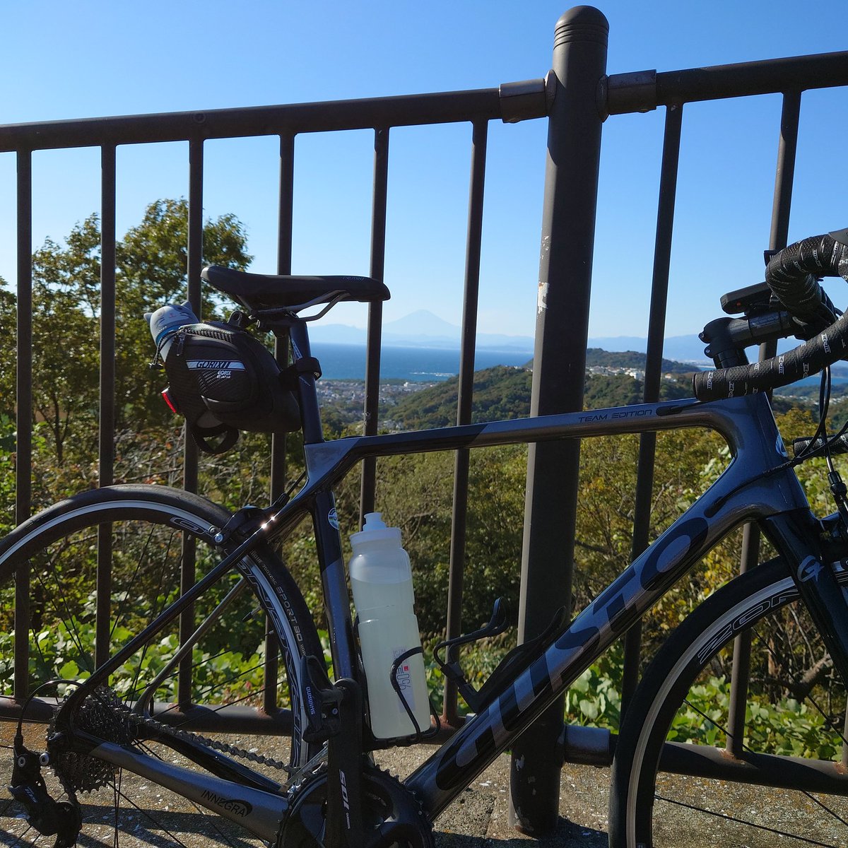 تويتر グスト البحث في تويتر