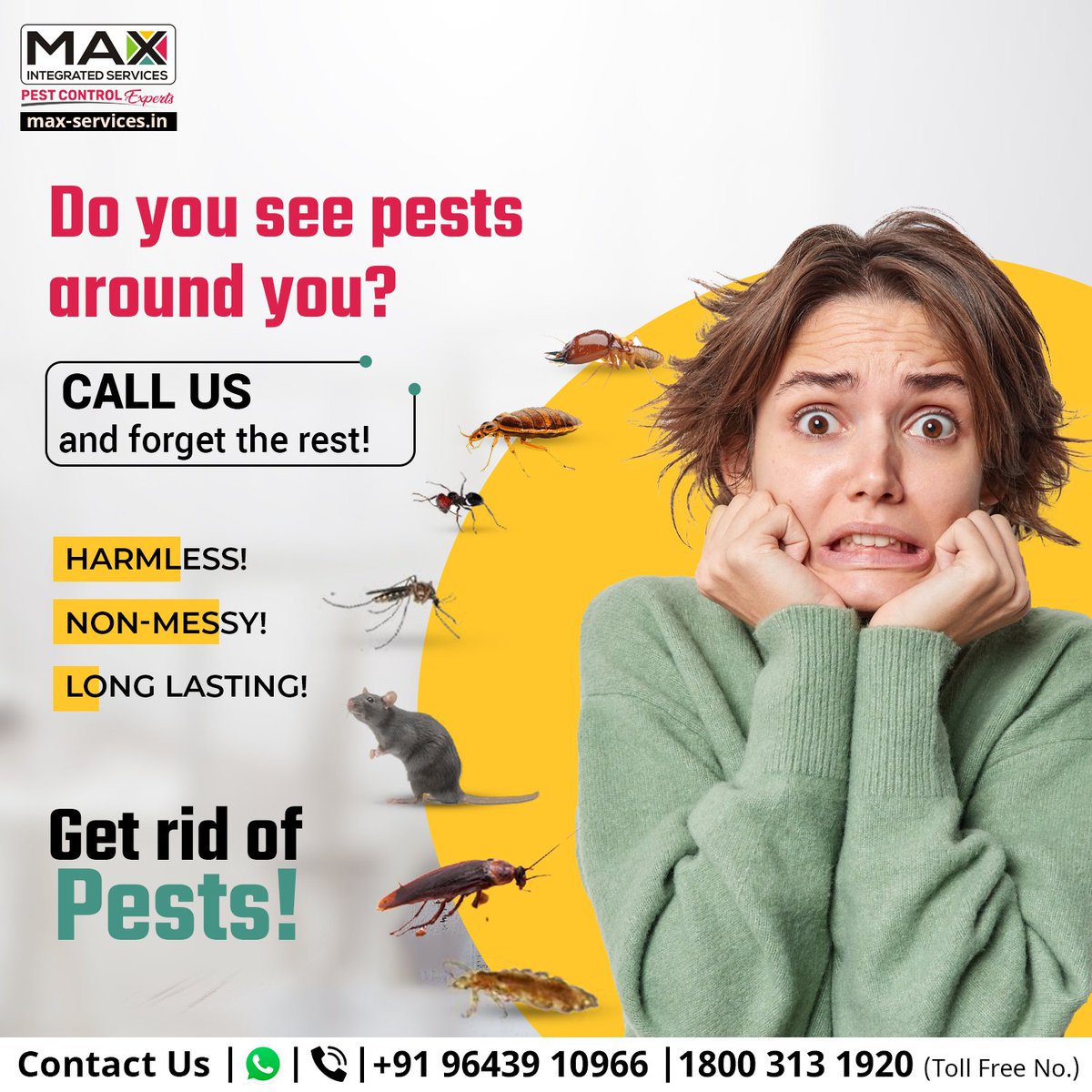 IntegratedMax's tweet photo. Do you see pest around you ? Don't wait contact Maxintergated services, Max intergated services delivers all type of pest control services.
Book our service now
Visit our website:
https://t.co/stxXPtnHWX
+919643910966
+18003131920
#Maxintergated #pestcontrolexpert #safety1st https://t.co/hzi5L3ArgC