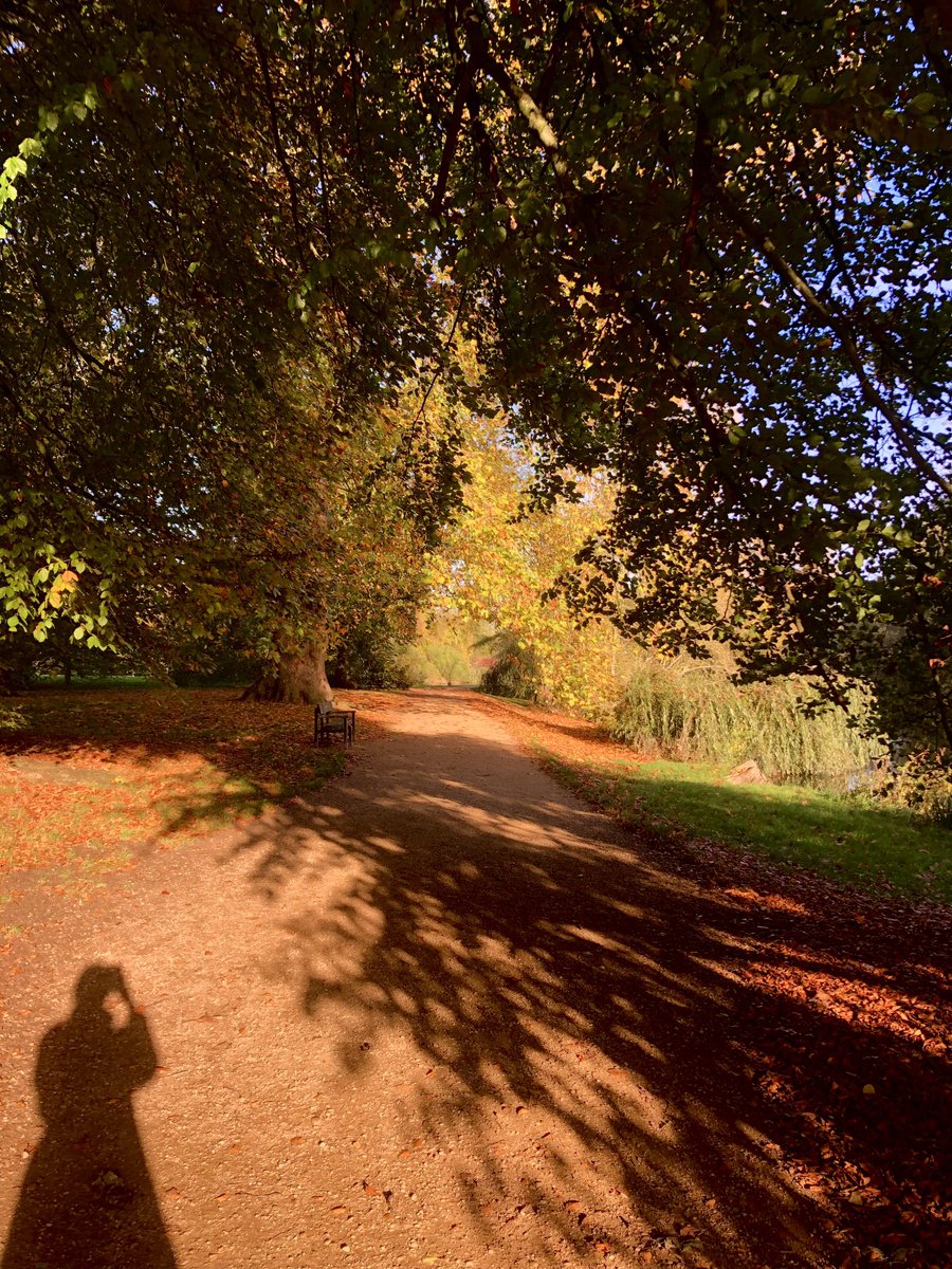 Autumn in Oxford….I took this photo yesterday morning, just before the weather turned miserable! ❤️
#Oxford #autumn #nature